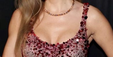 La compra del jet privado de Taylor Swift